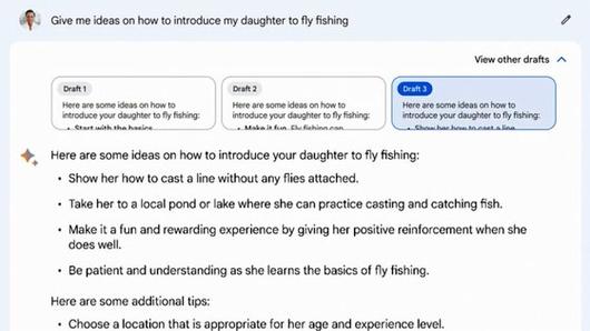 구글이 공개한 바드