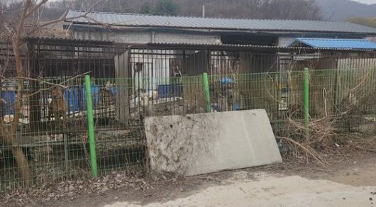 경기도 특사경이 지난 24일 경기광주 한 육견농장에서 동물 뼈 무덤을 발견했다. 사진 경기도