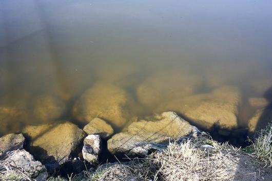 2021년 1월 20일 전남 나주시 다시면 죽산보 인근의 영산강물이 뿌옇다. [중앙포토]