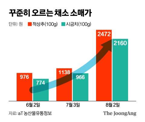 중앙일보