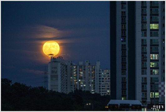 중앙일보