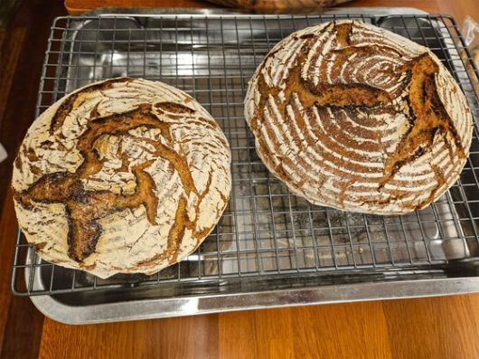 코로나 시기에는 직접 효모를 키워 빵을 구웠다는 지춘희 디자이너. 사진 폴인, 최지훈