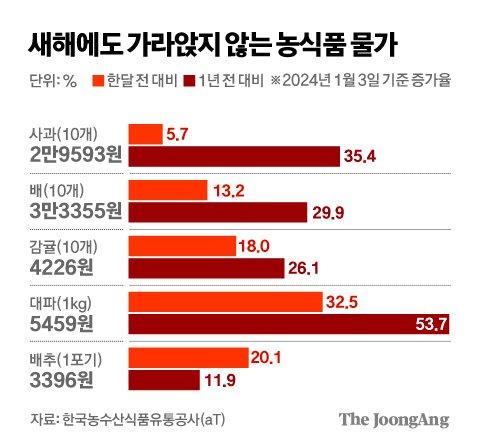 중앙일보