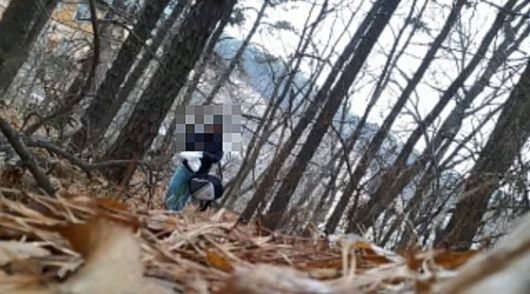 인천공항 국제우편물을 통해 국내에 반입된 택배상자 안 내용물에서 확인된 압축팩 포장 코카인 약 400g. 사진 수원지검