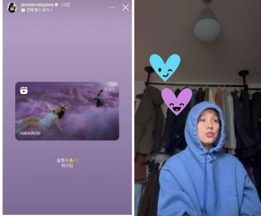 '밤양갱' 응원한 제니(왼쪽)와 노래 커버를 올린 이효리. 사진 제니, 이효리 인스타그램