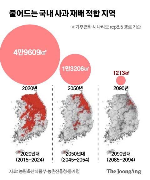 중앙일보