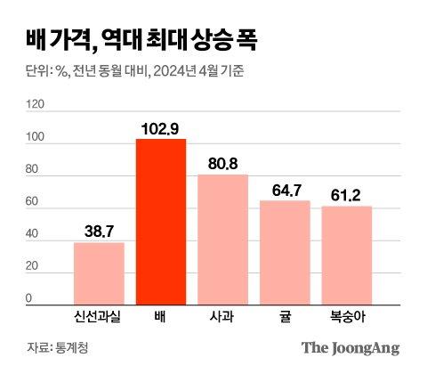 중앙일보