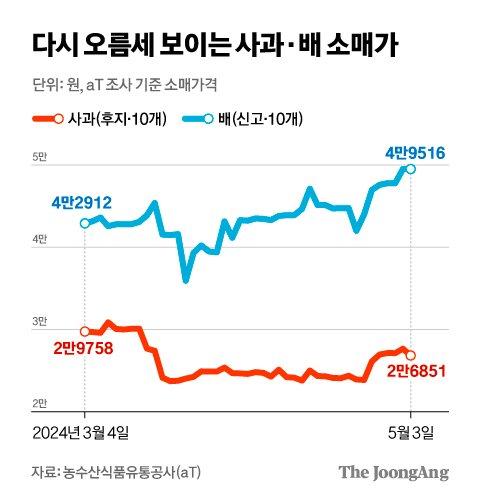 중앙일보