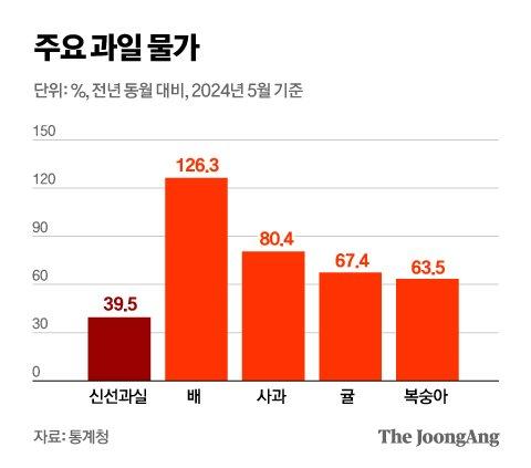 중앙일보