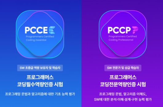 중앙일보