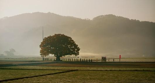 중앙일보