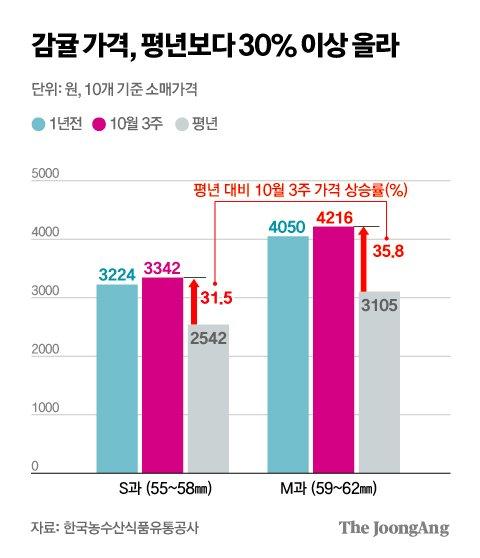 중앙일보