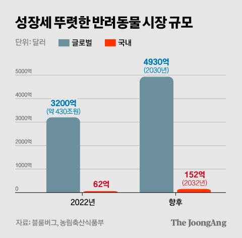 중앙일보