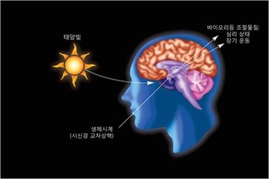 중앙일보