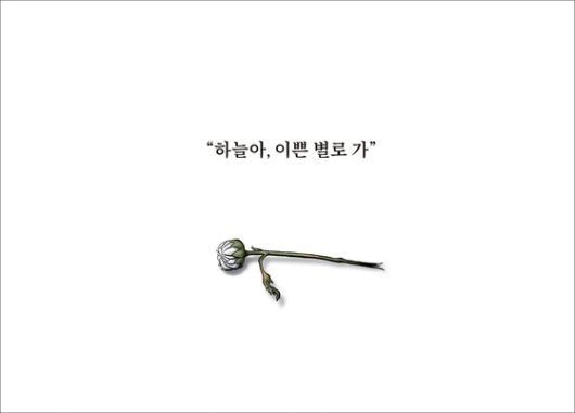 중앙일보