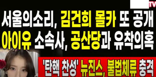 지난해 12월 20일 한 극우 성향의 유튜버는 “아이유 소속사가 공산당과의 유착 의혹이 있다”는 음모론을 주장했다. 이 유튜버는 관련 영상만 수십차례 게재했다. 유튜브 캡처