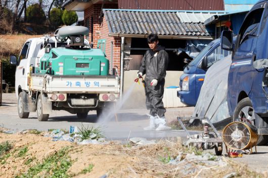 14일 오전 구제역이 발생한 전남 영암군 한 한우농장 앞에서 방역본부 관계자가 소독약을 살포하고 있다. [연합뉴스]