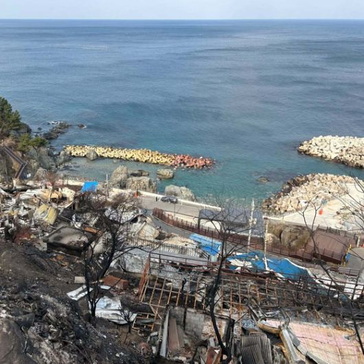 경북 영덕군 영덕읍 석리의 해변가. 곳곳에 불에 탄 집이 보인다. 사진 김이듬 인스타그램