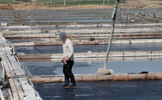 7일 오전 전남 신안군 증도 태평염전에서 작업자가 염전을 들여다보고 있다. 미국 정부가 지난 3일 강제노동 규정을 위반한 국내 최대 규모 단일염전인 태평염전의 소금 수입을 차단하는 인도보류명령을 발동했다고 밝혔다. 연합뉴스