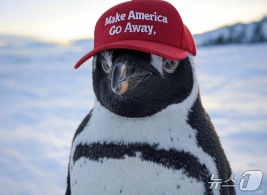 '펭귄 관세'가 시행되자 만들어진 밈. 사진 엑스 캡처