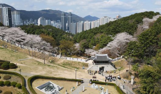 부산 동래읍성. 동래읍성 너머로 금정산 자락이 이어진다.