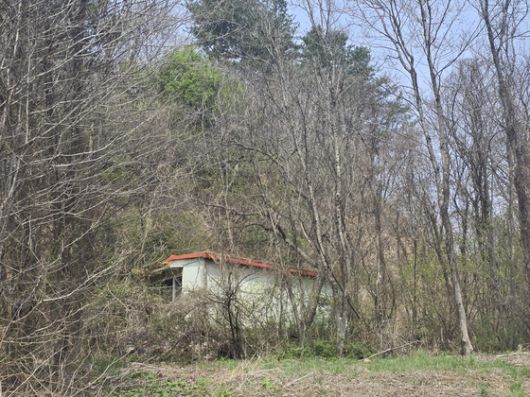 16일 건진법사 아내가 운영하는 광산 업체의 등록주소지(경기 가평)를 찾았다. 2017년 11월 광업채굴권 연장을 두고 유력 정치인의 조력 정황이 드러나 검찰이 수사 중이다. 현재는 광산업 등록이 취소된 상태다. 손성배 기자