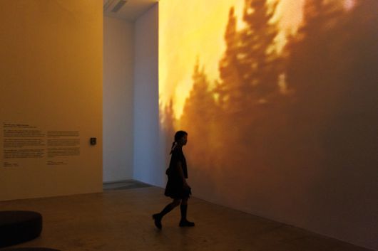패티가 태어난 1946년 이래 산불로 없어진 숲, 멸종된 동물을 보여주는 '산불 1946~2024'과 '대멸종 1946~2024'를 보는 관람객. 사진 piknic