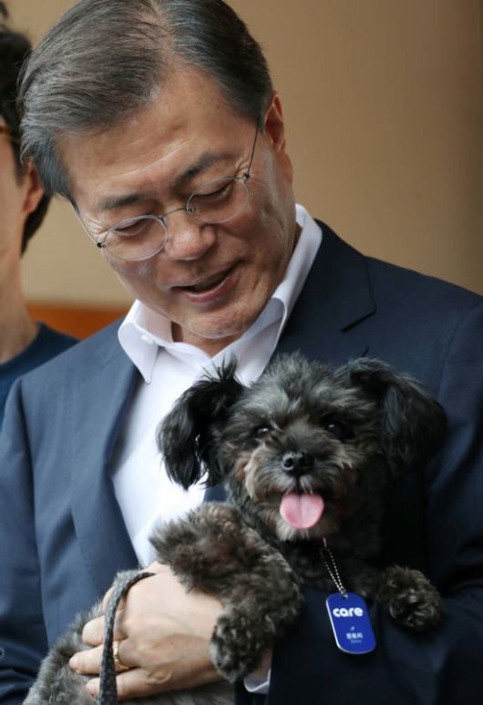 문재인 전 대통령의 반려견 토리는 지난해 2월 세상을 떠났다. 문재인 전 대통령 페이스북 캡처