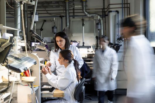 올해 확장과 함께 마니파투라 불가리 내에 설립된 주얼리 교육 기관 스쿠올라 불가리의 학생들. [사진 불가리]