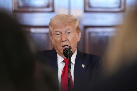 도널드 트럼프 대통령이 30일(현지시간) 백악관에서 20여개 주요 기업의 대표들을 소집한 채 미국 투자 성과에 대한 연설을 하고 있다. AP=연합뉴스