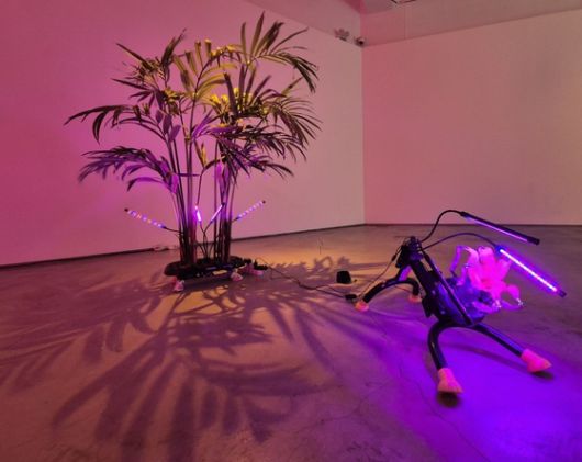 한국계 미국 작가 레이첼 윤(31)은 중고 마사지기와 운동기기로 움직이는 조각을 만든다. [사진 G갤러리]