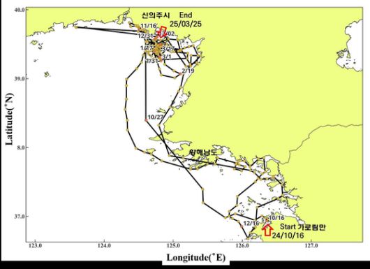 지난해 10월 16일 충남 서산 가로림만에서 방류된 점박이물범 봄이와 양양이의 이동 경로. [사진 충남도]
