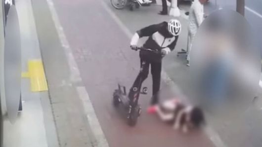 킥라니 이미지. [중앙포토]