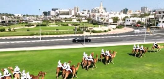 카타르에 도착한 도널드 트럼프 대통령을 환영하기 위해 동원된 낙타 무리. 사진 CNN 캡처