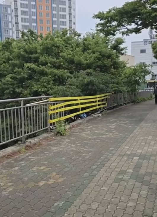 사고 차량은 중앙분리대를 들이받고 그 충격으로 안전펜스를 충돌한 뒤 풋살장으로 떨어졌다. 독자 김동운씨. 연합뉴스