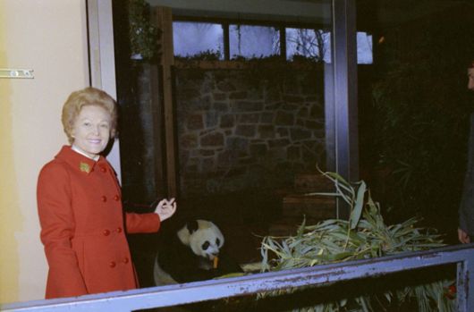 리처드 닉슨의 부인 팻 닉슨이 워싱턴 국립동물원에서 저우언라이 당시 중국 공산당 총리로부터 받은 자이언트 판다 앞에서 기념사진을 촬영하고 있다. 사진 닉슨 재단