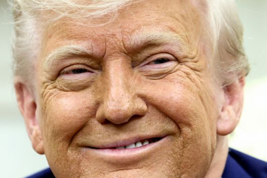 도널드 트럼프 미국 대통령이 21일(현지시간) 백악관 집무실에서 시릴 라마포사 남아공 대통령과의 정상회담에서 남아공에서 '백인 농부 학살'이 자행됐다는 의혹을 집중 부각하며 미소를 짓고 있다. 로이터=연합뉴스