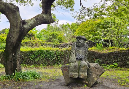 김영갑갤러리 두모악의 정원. 옛날 폐교에 들어선 갤러리는 운동장 자리에 정원을 조성했다.