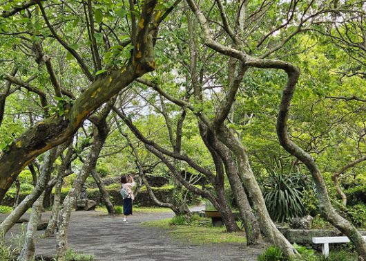 김영갑갤러리 두모악에서 촬영 중인 방문객. 갤러리 정원은 제주도 중산간을 재현하고자 했다.