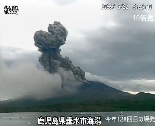일본의 대표적 활화산에서 최근 일주일간 폭발적인 분화 활동이 이어지고 있다. 사진 엑스 캡처