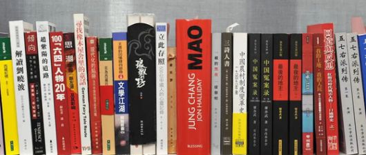 지난 2024년 최소 21명의 고위 관리가 정치적으로 금지된 서적을 열람한 이유로 당적을 박탈당한 것으로 나타났다. 사진 도이체벨레 중문망 캡처