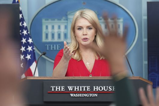 캐롤라인 레빗 미국 백악관 대변인이 29일(현지시간) 워싱턴 DC 백악관에서 언론 브리핑을 진행하고 있다. AP=연합뉴스