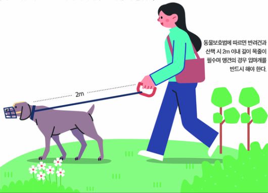 동물보호법에 따르면 반려견과 산책 시 2m 이내 길이 목줄이 필수며 맹견의 경우 입마개를 반드시 해야 한다. [중앙포토]