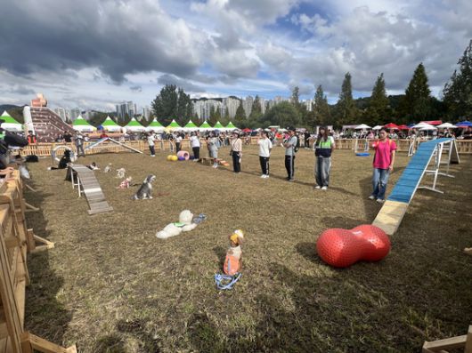 지난해 10월 5일 부산시 북구 화명생태공원에서 열린 반려동물 축제 '위드펫스타' 행사 모습. 사진 부산시