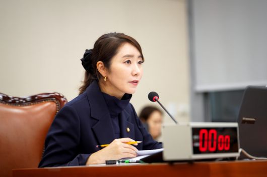 강선우 더불어민주당 의원. 사진 강선우 의원실