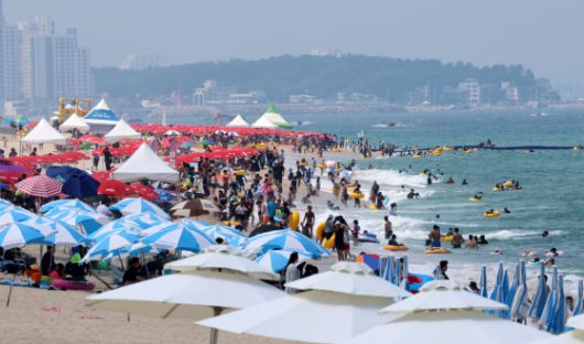지난해 8월 강원 강릉시 경포해수욕장을 찾은 피서객들이 물놀이를 즐기며 무더위를 식히고 있다. [연합뉴스]