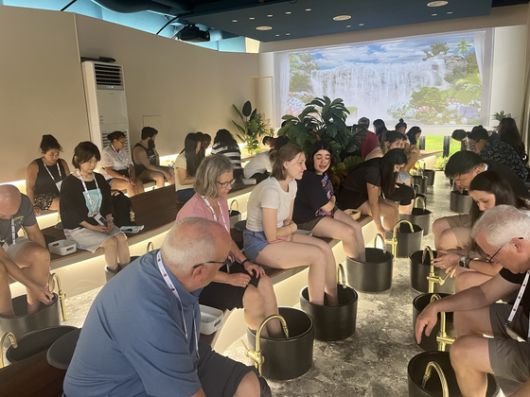 지난 8일부터 11일까지 3박 4일간 '제주와 함께하는 마음의 고향 여행'에 나선 입양인들이 족욕체험을 하고 있다. 사진 제주관광공사