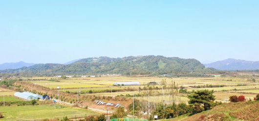 길게 뻗은 야트막한 백마고지, 주변의 들판이 철원평야다. [사진 김정탁]