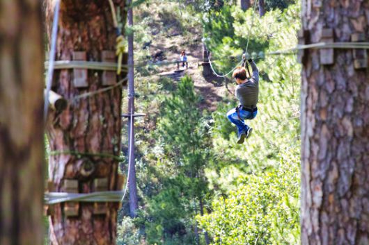 다딴라 폭포에서 캐니어닝, 짚라인, 알파인 코스터 등 다양한 액티비티를 즐길 수 있다.
