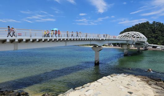 14일 열린 강릉 트레일 페스타에서 남항진 솔바람다리를 건너고 있는 참가자들. 손민호 기자